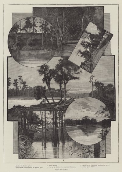 Vistas en Florida de Charles Auguste Loye